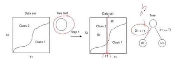 Part 7 — Decision Trees: Split, Don't Solve