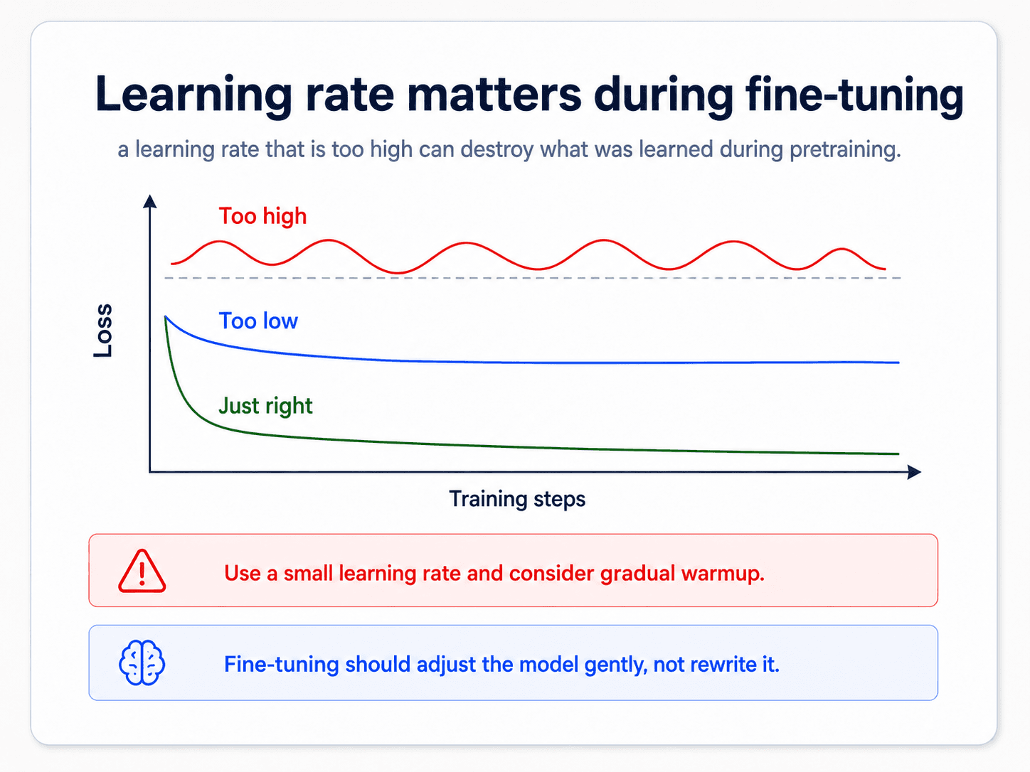 A card titled 'Learning rate matters during fine-tuning'. Subtitle: 'a learning rate that is too high can destroy what was learned during pretraining'. A loss vs training-steps plot with three curves: red 'Too high' oscillating along the top, blue 'Too low' nearly flat just below it, green 'Just right' smoothly descending to a low loss. Bottom red warning: 'Use a small learning rate and consider gradual warmup.' Bottom blue brain: 'Fine-tuning should adjust the model gently, not rewrite it.'