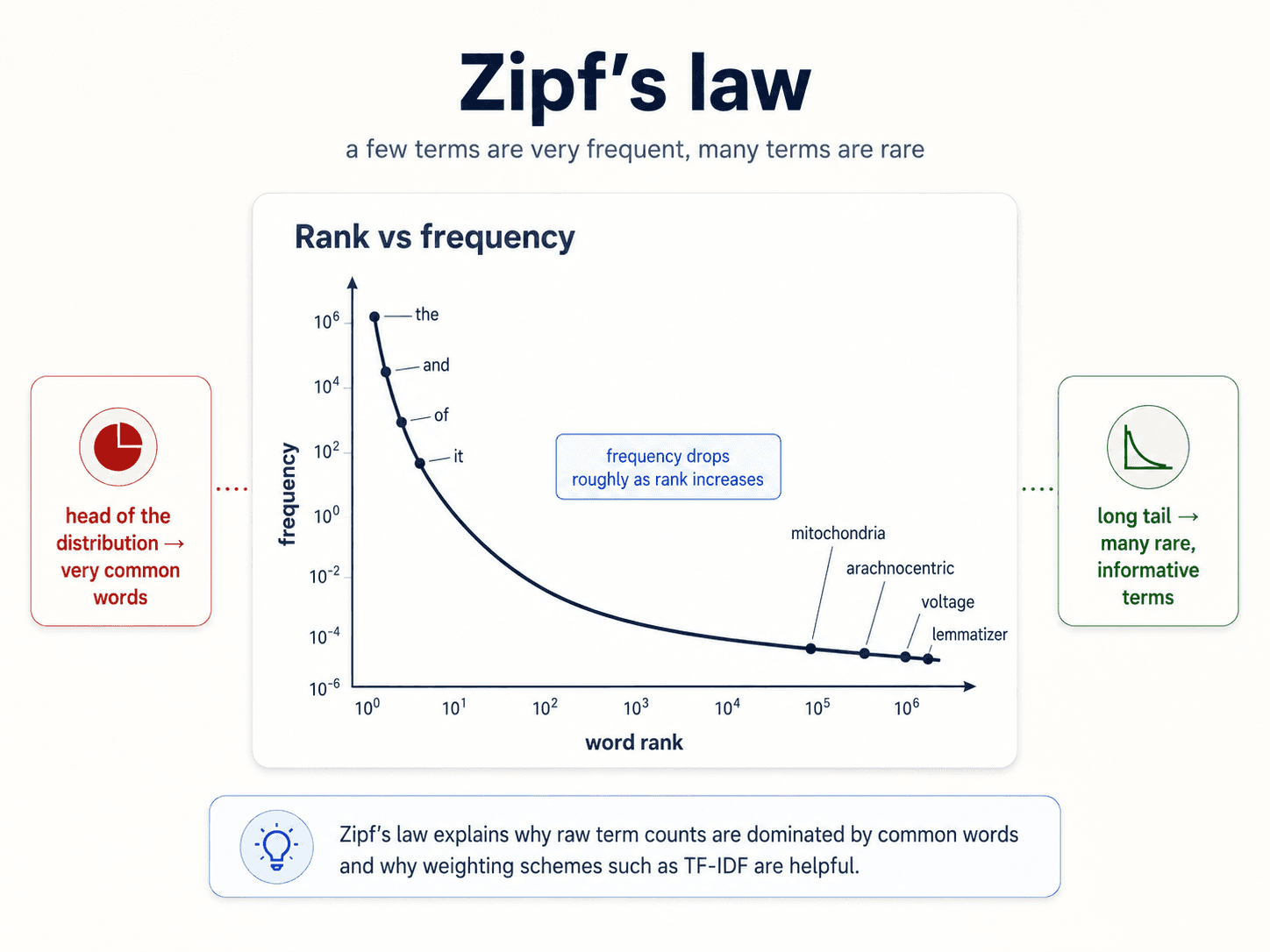 A clean instructional diagram titled 'Zipf's law' on warm off-white background, dark navy text. Subtitle: 'a few terms are very frequent, many terms are rare.' Centred: a log-log plot titled 'Rank vs frequency' with word rank on the x-axis (10⁰ to 10⁶) and frequency on the y-axis (10⁻⁶ to 10⁶). A smooth dark navy curve drops steeply from top-left to bottom-right. Annotations along the curve label specific words: 'the', 'and', 'of', 'it' near the top of the curve; 'mitochondria', 'arachnocentric', 'voltage', 'lemmatizer' along the long tail. A blue info pill in the middle of the plot: 'frequency drops roughly as rank increases.' Two side panels: red on the left with a pie-chart icon — 'head of the distribution → very common words'; green on the right with a long-tail icon — 'long tail → many rare, informative terms.' Bottom band with a light-bulb icon: 'Zipf's law explains why raw term counts are dominated by common words and why weighting schemes such as TF-IDF are helpful.'